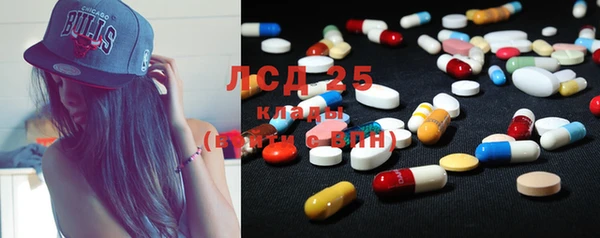 бошки Алзамай