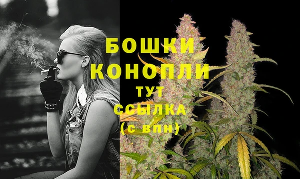 бошки Алзамай