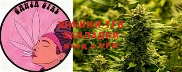 бошки Алзамай