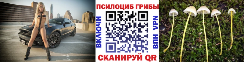 где купить Воткинск Псилоцибиновые грибы ЛСД