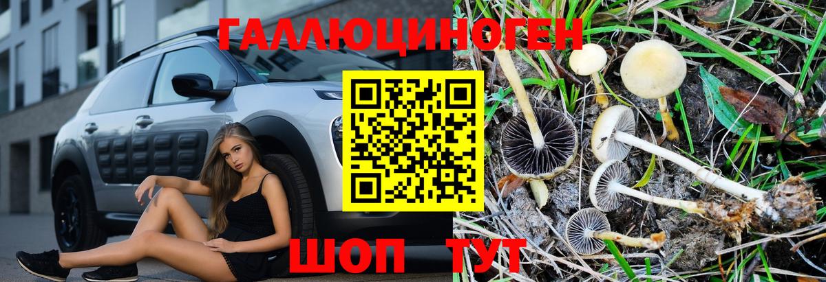 Воткинск  Псилоцибиновые грибы Psilocybe  Вход с VPN 
