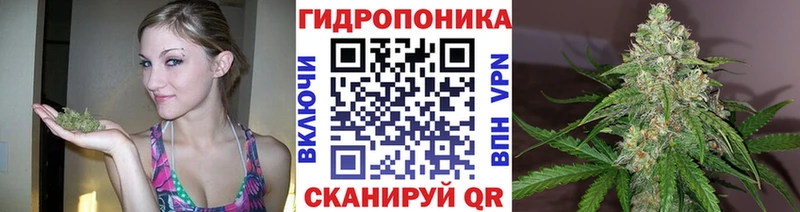 продажа наркотиков  Воткинск  Шишки марихуана THC 21% 